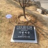 기념식수비 제작 / 울산기념식수비제작 / 울산교육청기념식수비